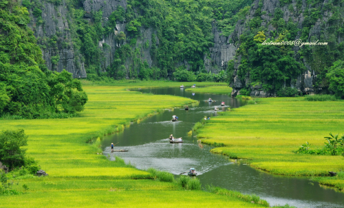 TAM COC